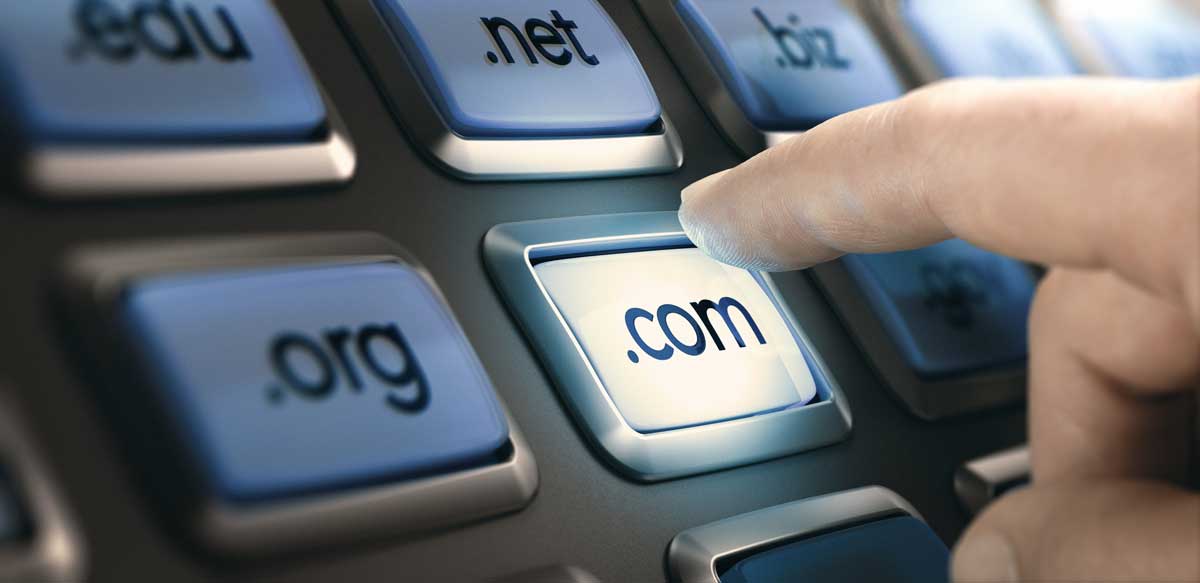 Choose a domain name extension